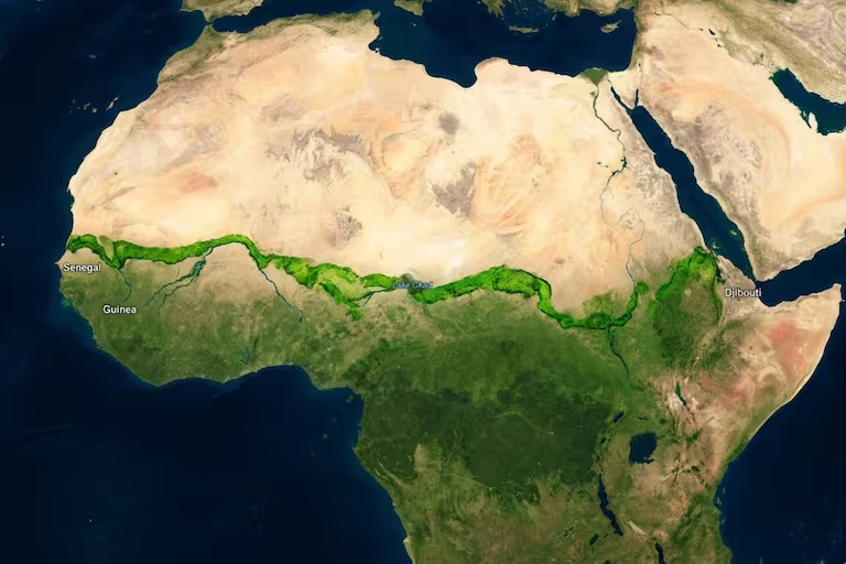 África apuesta a una muralla de árboles para detener el crecimiento del desierto del Sahara