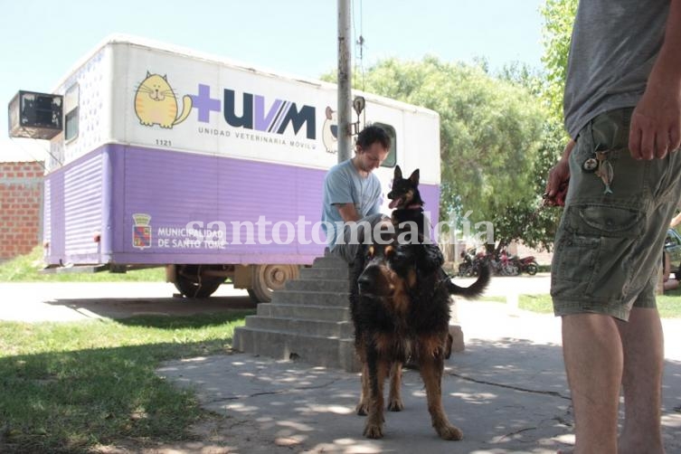 La semana próxima, castraciones gratuitas en jurisdicción de la vecinal Dos Rutas