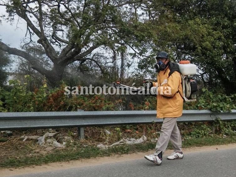 Siguen las tareas de fumigación en la ciudad de Santa Fe