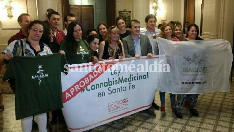 El aceite se utiliza para el tratamiento de epilepsia refractaria. (prensa Joaquín Blanco)