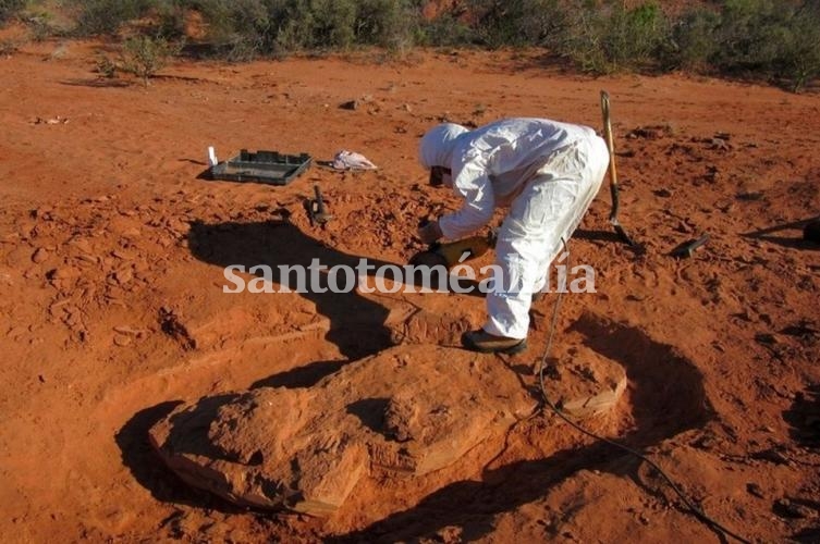 Hallan en San Juan al dinosaurio gigante más antiguo que habitó la tierra