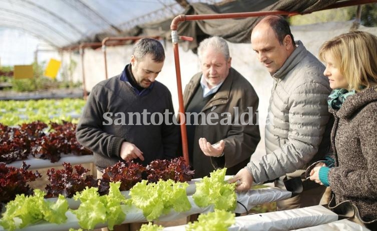 Cultivo en agua, en el límite entre Santa Fe y Monte Vera