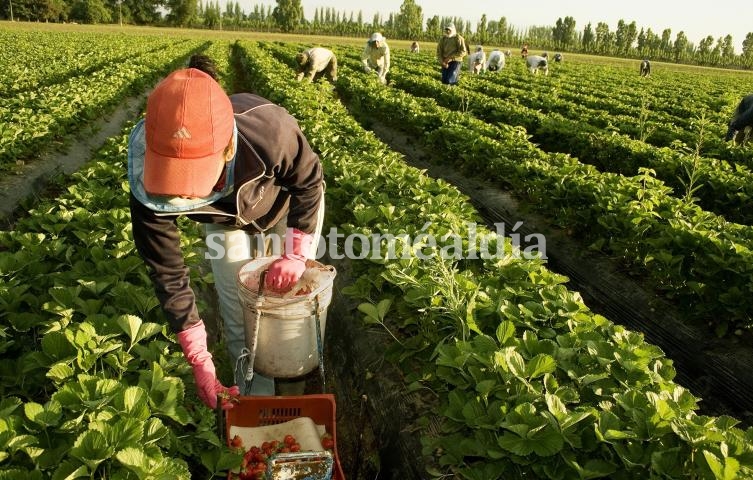 Continuará hasta diciembre el Censo Nacional Agropecuario. (Foto: cna2018.indec.gob.ar)