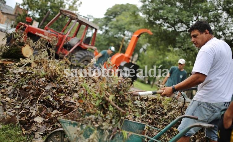 En Santa Fe juntaron más de mil toneladas de ramas