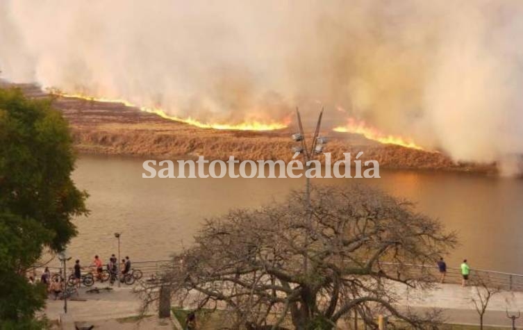 Denuncia penal ante el MPA por la quema de pastizales