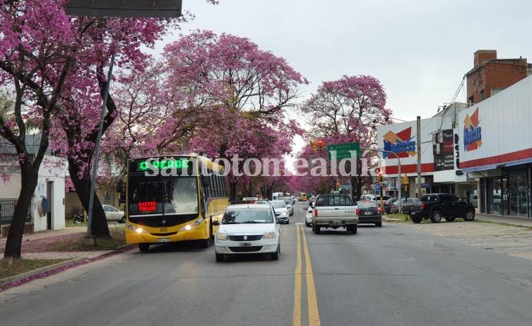 Nuestra ciudad registró dos casos y la provincia 52
