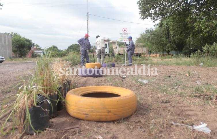 El Municipio continúa con el plan de erradicación de microbasurales