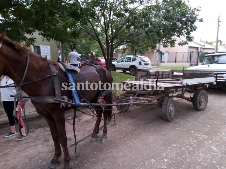 Detuvieron a un sujeto por maltrato animal
