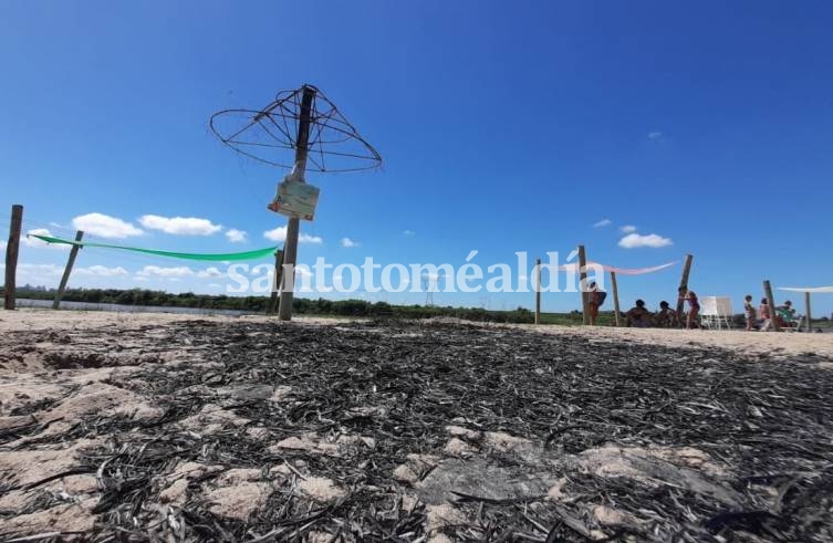 Nuevos hechos de vandalismo en el balneario municipal