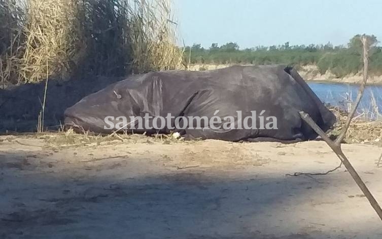 El cuerpo fue hallado en la orilla del río, entre las calles Curupíes y Estrella Federal.