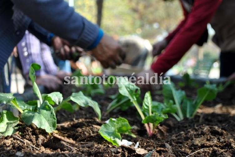 Huertas Familiares y Comunitarias: están abiertas las inscripciones para un nuevo curso de capacitación