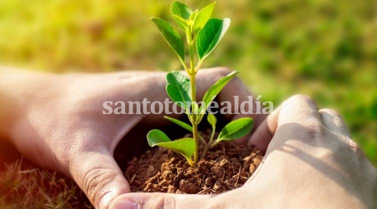 El evento congregará a una amplia variedad de emprendedores que hacen de la sostenibilidad y el cuidado ambiental un eje de su plan de trabajo.