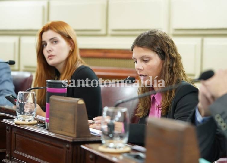 Las diputadas Lionella Cattalini y Gisel Mahmud.