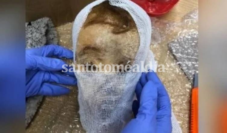 Un cráneo momificado, uno de los secuestros más llamativos. (Foto: Noticias Argentinas)