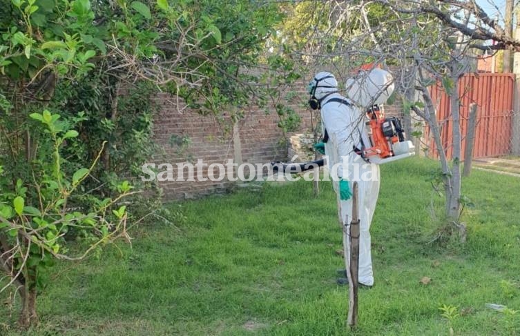 Se confirmó un nuevo caso de dengue en nuestra ciudad