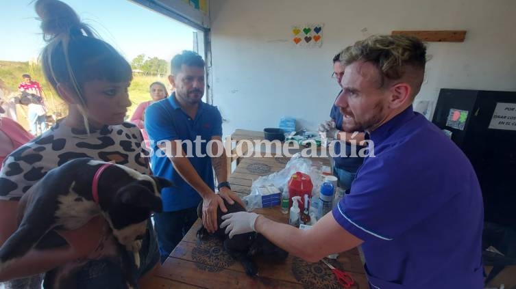 Castelló presentó un proyecto para crear el hospital público veterinario provincial