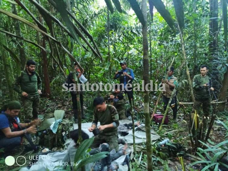 Milagro en la selva colombiana: hallaron con vida a los niños perdidos hace 40 días tras un accidente aéreo