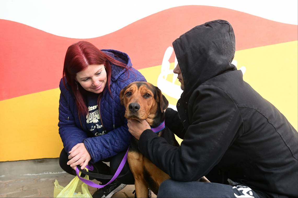 Santa Fe: este domingo se realizará la primera carrera pedestre con perros