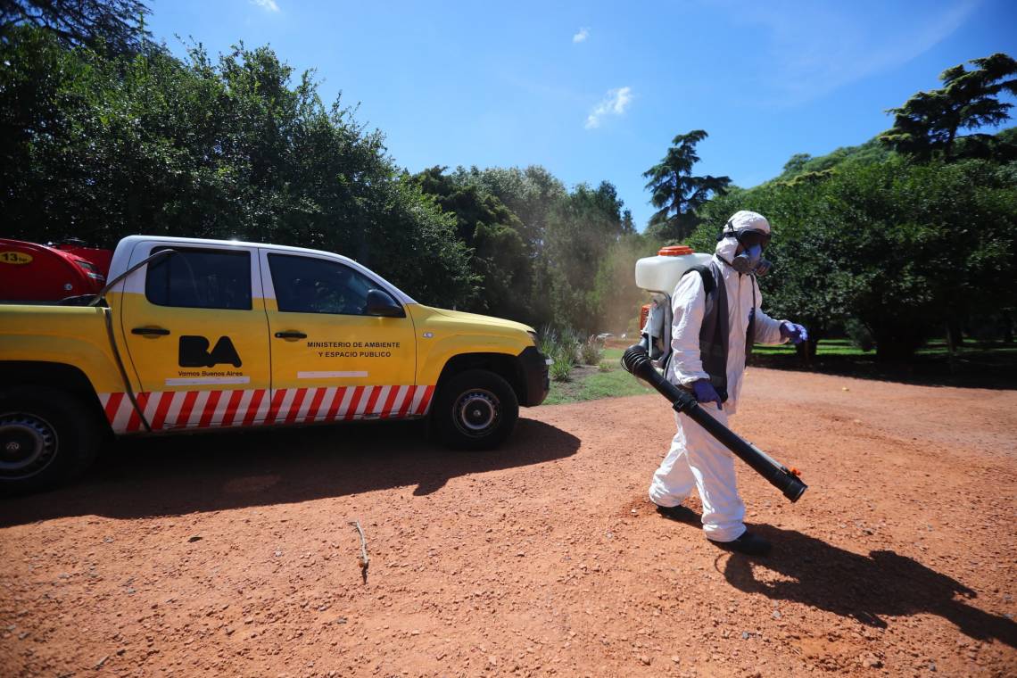 Para el Gobierno, la invasión de mosquitos en Buenos Aires es responsabilidad de Alberto Fernández