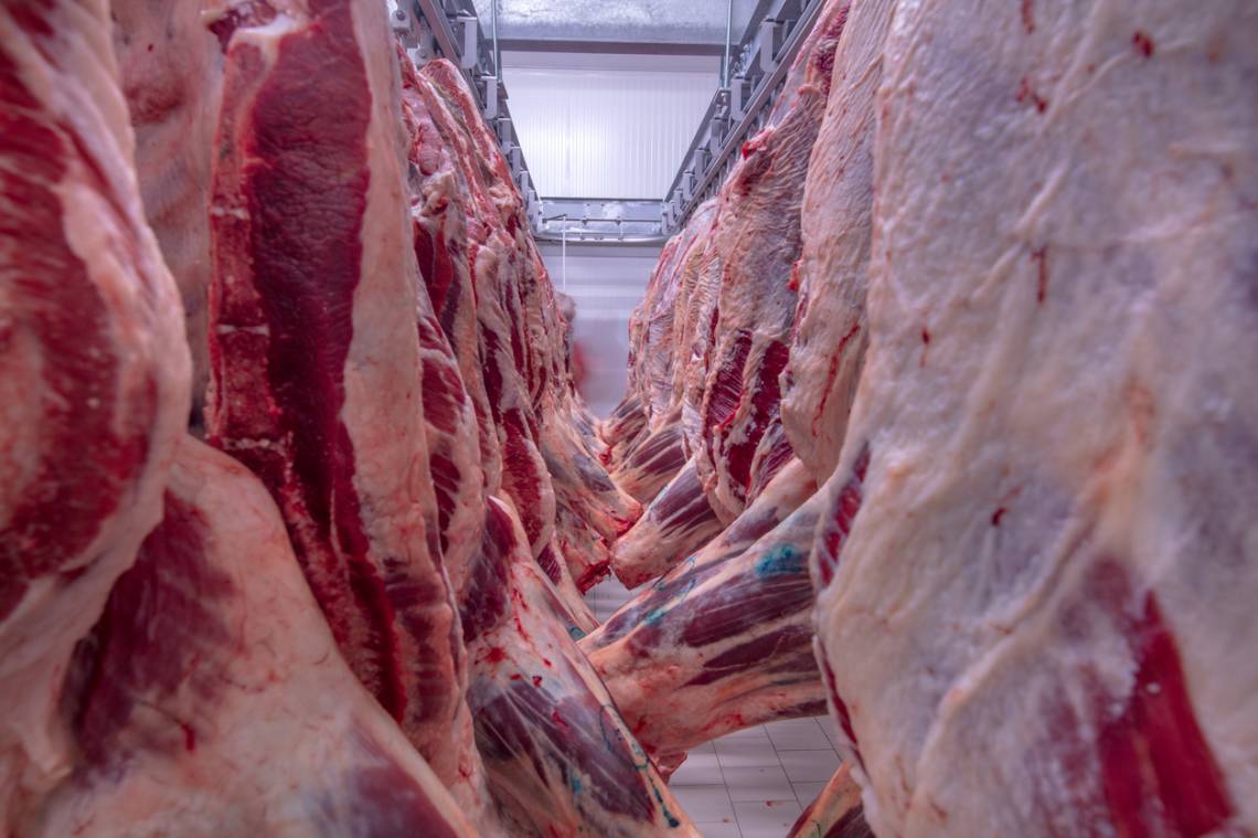 El consumo de carne vacuna se derrumbó 18% en el primer trimestre y tocó mínimos de tres décadas