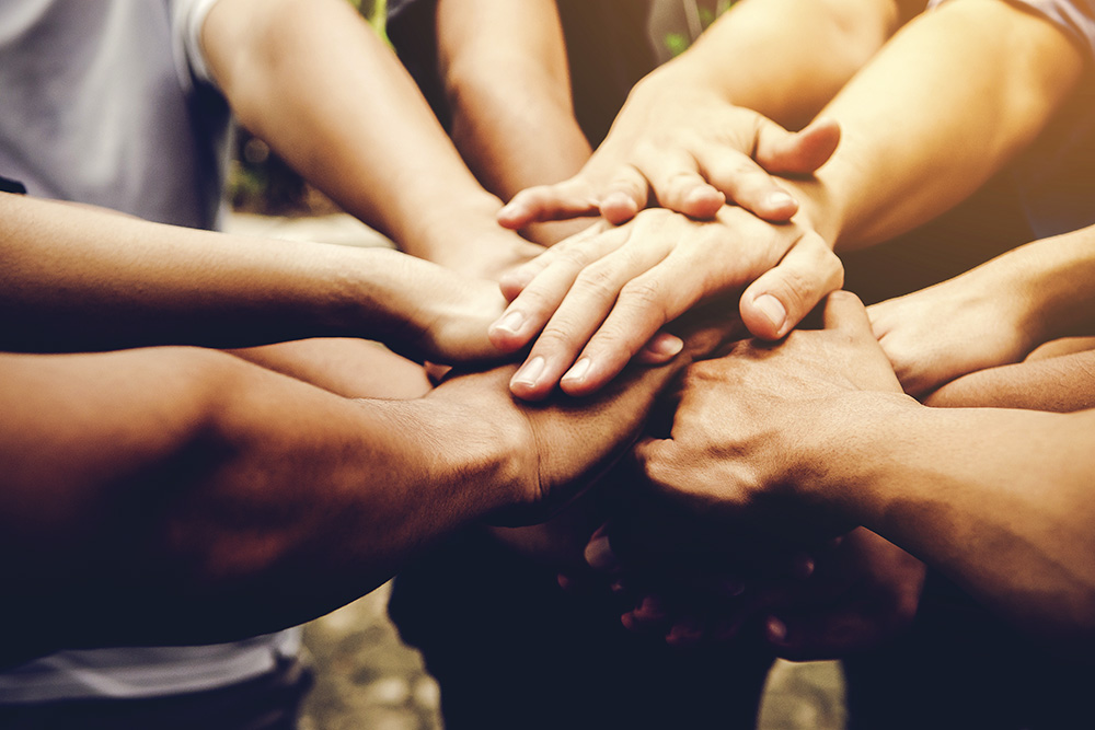 Lanzan Diplomatura en Gestión de las Organizaciones de la Economía Social y Solidaria