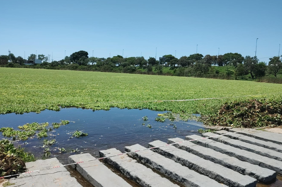 IEA Litoral: proyecto para salvaguardar el lago del Parque del Sur