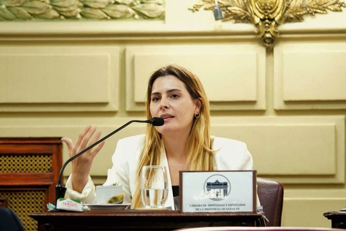 Cattalini presento un amparo contra la designacion de Lijo y Garcia Mansilla