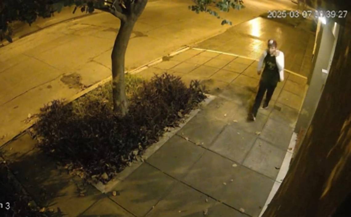 Detuvieron en nuestra ciudad al delincuente que golpeó brutalmente a una anciana en Santa Fe