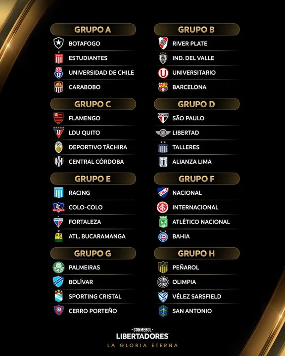 Copa Libertadores: River irá a la altura, mientras que Estudiantes comparte grupo con Botafogo