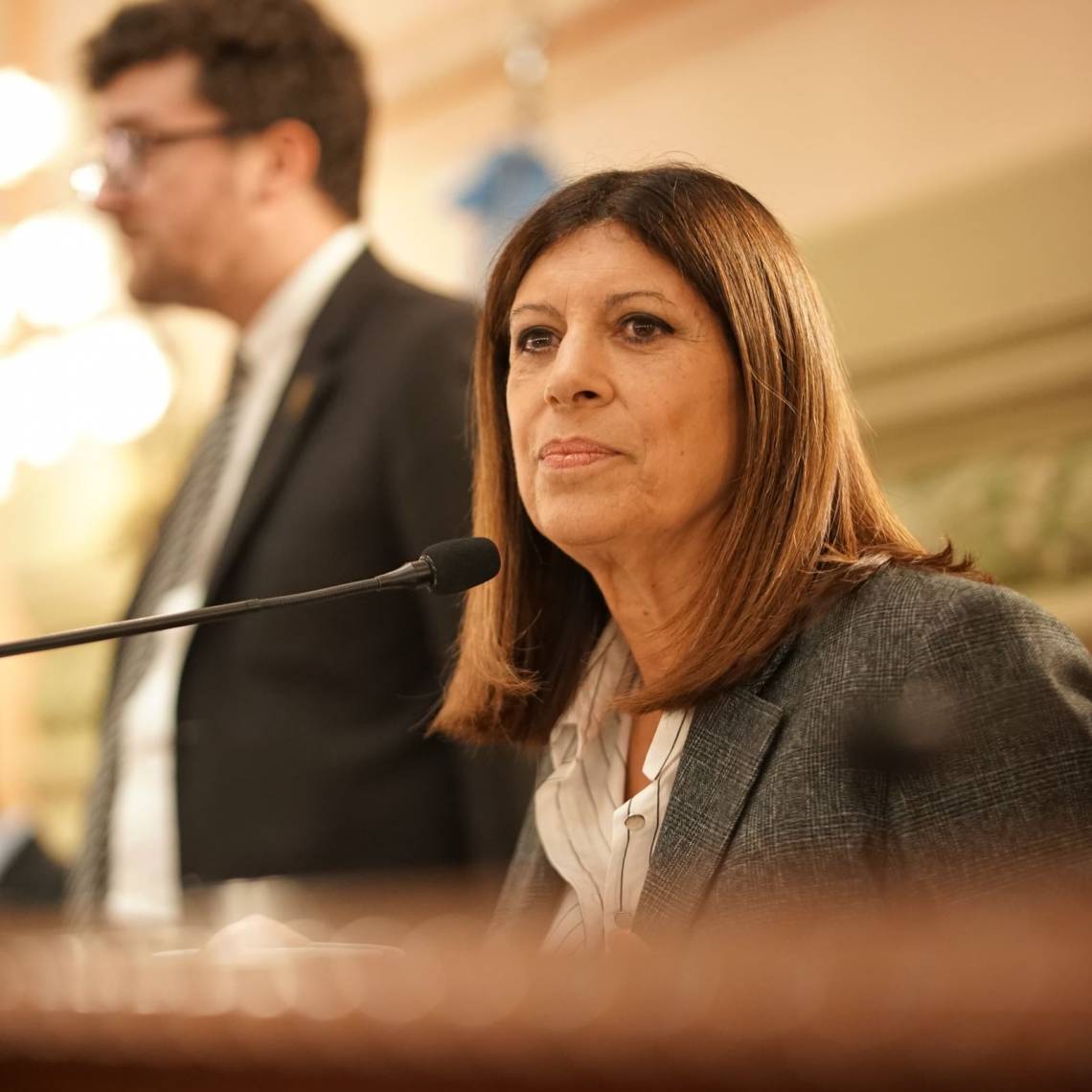 Clara García fue reelecta presidenta de la Cámara de Diputadas y Diputados