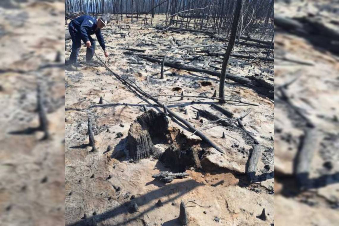 Incendios en Chubut: la foto que revela que el desastre fue causado de manera intencional