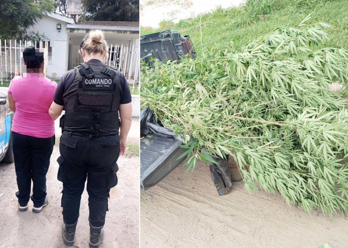 Secuestran diez plantas de marihuana y detienen a una mujer en nuestra ciudad