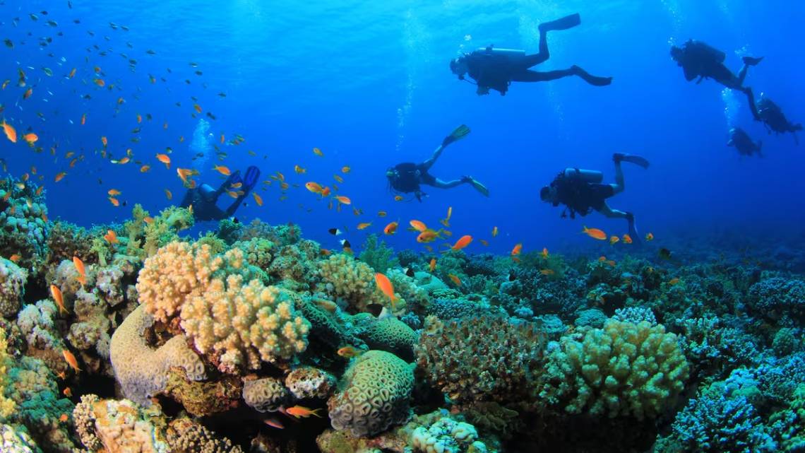 Cicno turistas italianos fallecieron mientras realizaban una excursión de buceo en Maldivas.