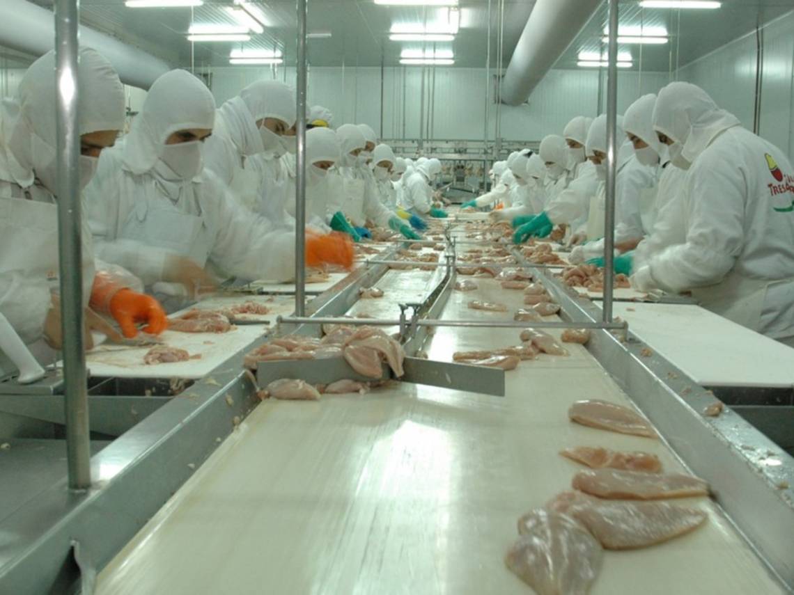 La mayor avícola del país cerró una planta de producción en Entre Ríos: peligran 950 puestos de trabajo