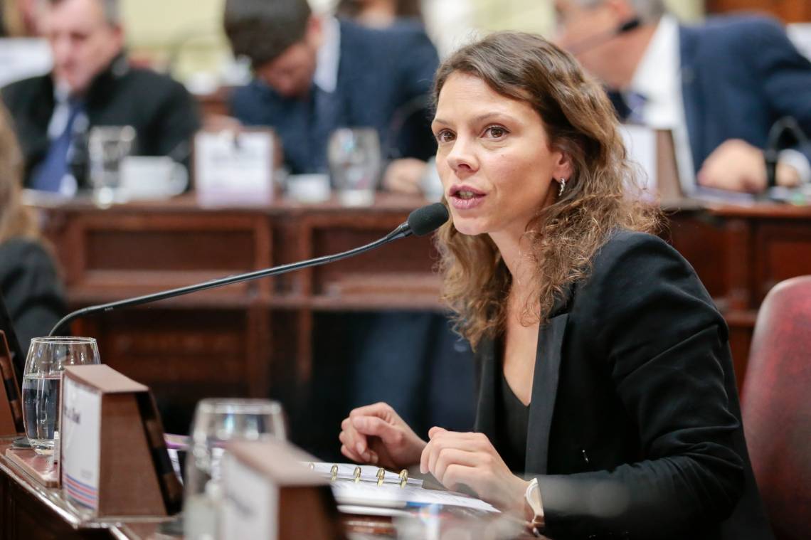 Gisel Mahmud destacó la media sanción de un proyecto que busca abrir el debate hacia una Ley de Educación provincial.