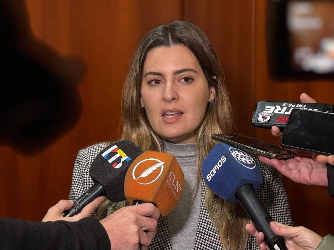 Lionella Cattalini celebró la decisión del Consejo de la Magistratura de suspender al juez federal Gastón Salmain y enviarlo a juicio político.