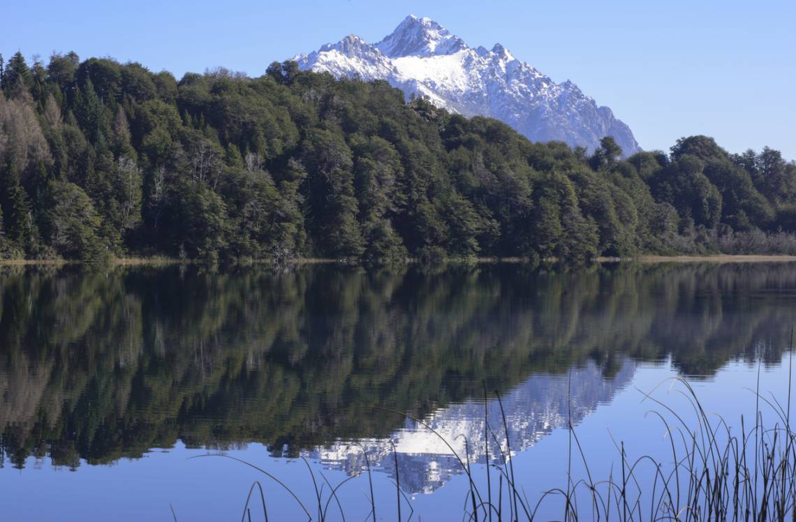 Ley de Tierras: el oficialismo modificó el proyecto para intentar destrabar su aprobación en el Senado