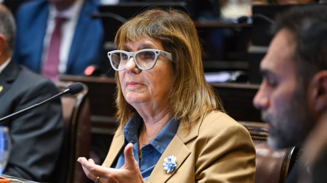 Bullrich: “Los Estados extranjeros no pueden comprar un gramo de tierra”