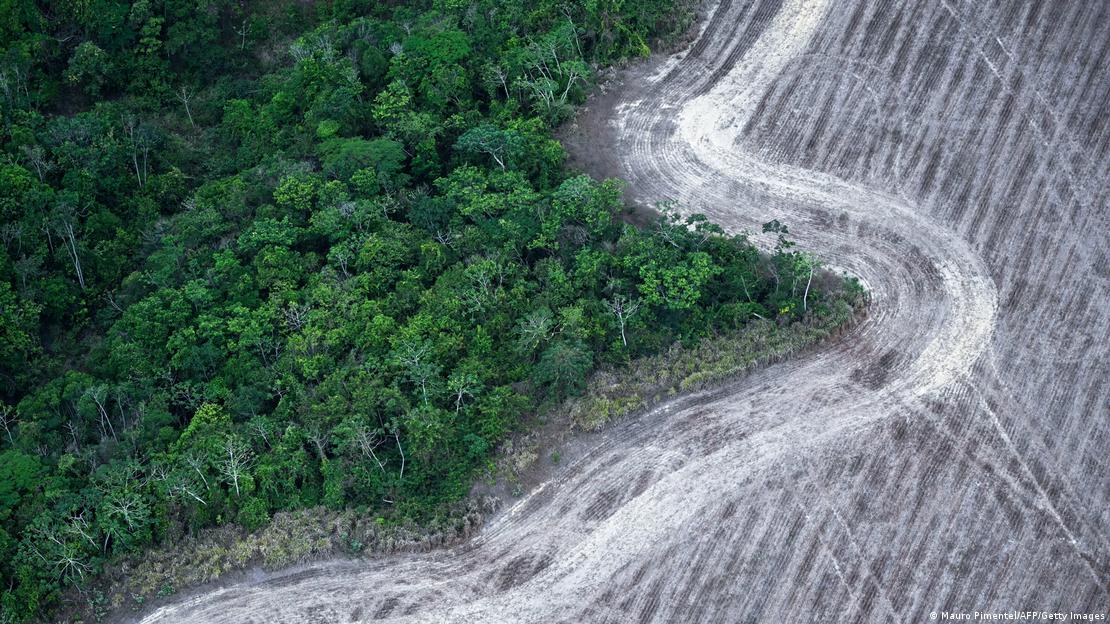Brasil perdió 14% de su vegetación nativa en cuatro décadas. (Crédito: Mauro Pimentel/AFP/Getty Images)