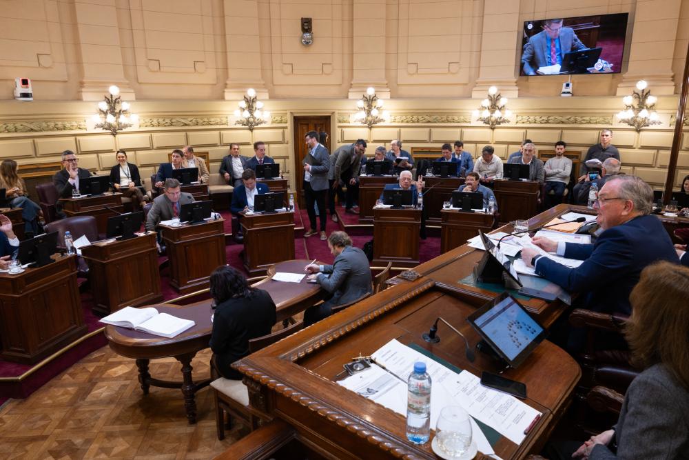 La Cámara de Senadores aprobó en sesión ordinaria el nuevo Código Electoral de la Provincia. (Foto: Prensa Senado Santa Fe)