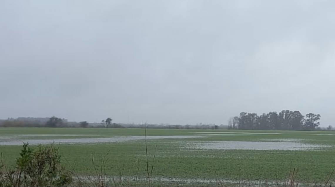 El Niño se intensificará en los próximos meses y podría convertirse en el más fuerte de las últimas cuatro décadas.
