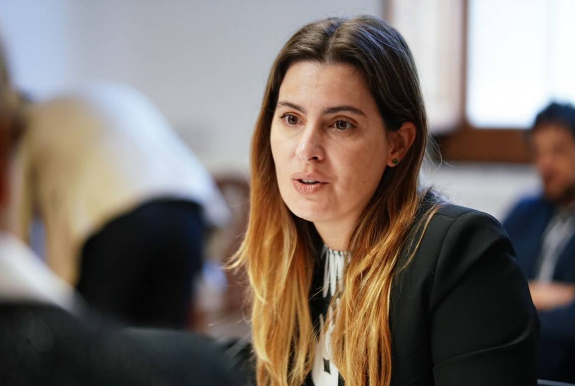 La diputada Cattalini explicó que su proyecto busca 